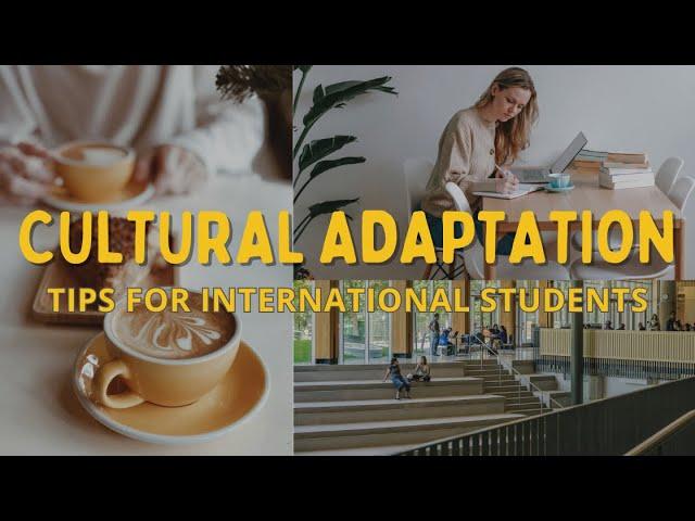 Cultural Adaptation Tips for International Students: Thrive in a New Country