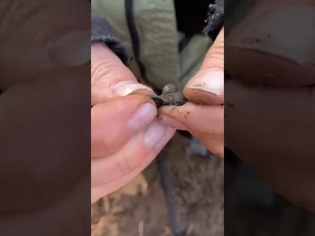 #history #пошукзметалошукачем #coin #deus #treasurehunting #коп #деус #монета