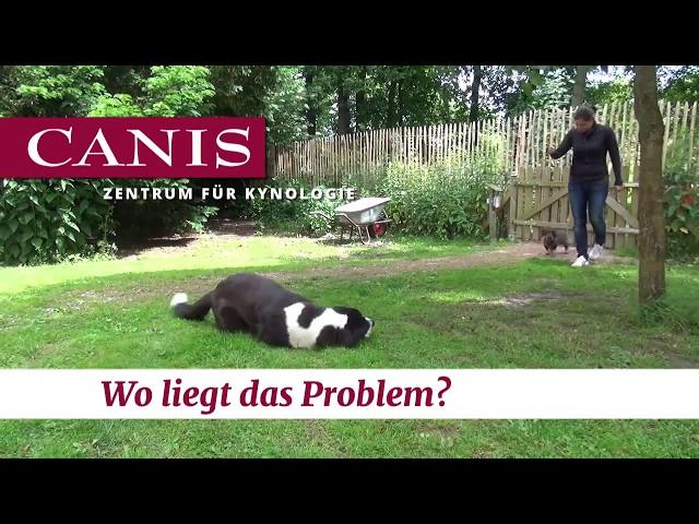 Wo liegt das Problem?