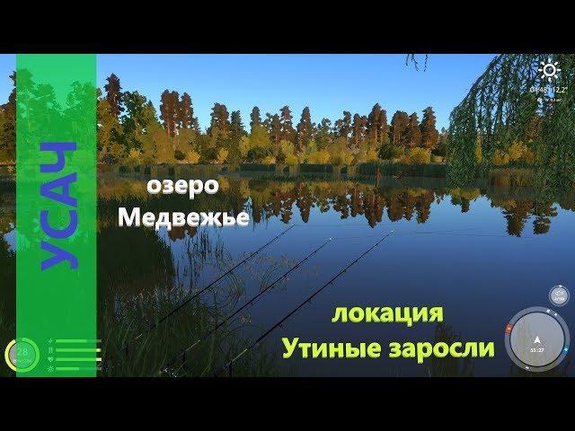 Русская рыбалка 4 - озеро Медвежье - Усач под ивой