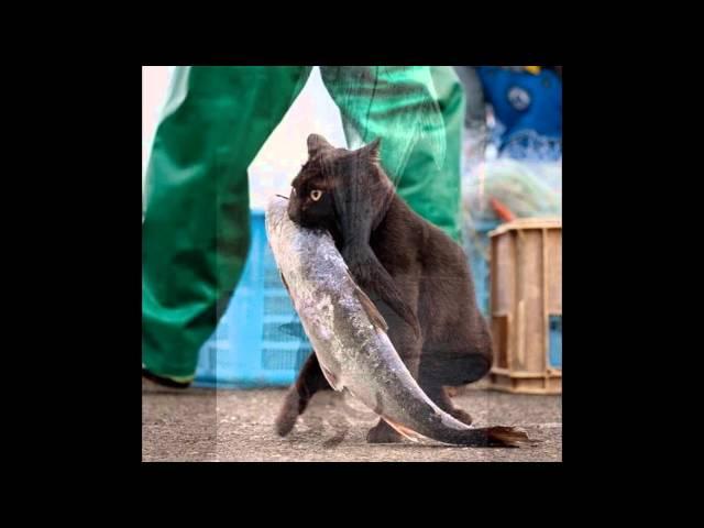 Когда нельзя, но очень хочется...