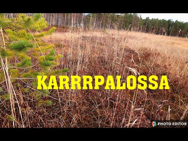 KARRRRPALOSSA