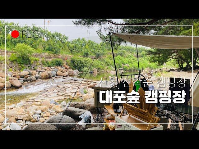 7번째 캠핑:) 즉흥으로떠난 계곡 캠핑장 / 대포숲캠핑장/제주도친구와 함께한 /1박 2일 캠핑 / 산청캠핑장 /경남캠핑장 /자연유수풀 / 커플브이로그 /선착순캠핑장/계곡캠핑장