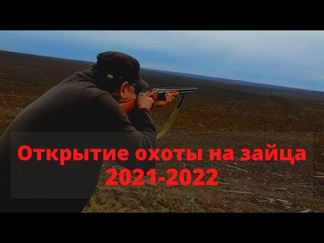 Охота на зайца 2021.Открытие сезона охоты на зайца 2021-2022. Заяц по чернотропу.