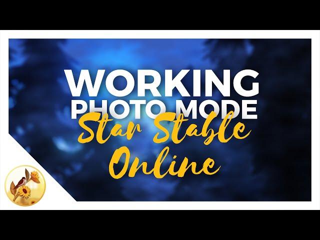 РАБОЧИЙ РЕШЕЙД В ФОТОРЕЖИМЕ В STAR STABLE ONLINE || TUTORIAL RESHADE || Swallow's Tower