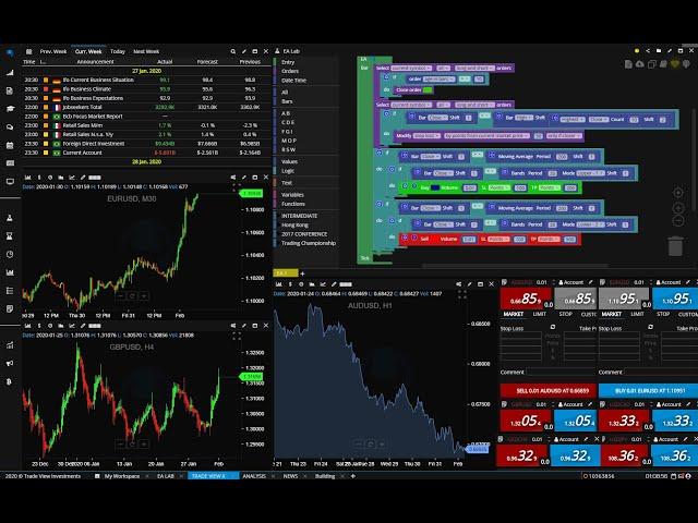 Trade View X - All in One Platform for Automated Forex Trading Commodities Indices Crypto