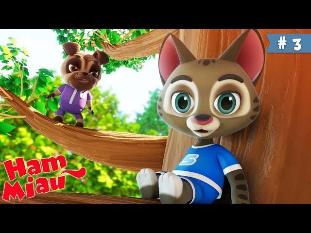 Ham Miau  Sus si jos  Desene animate pentru copii | HeyKids