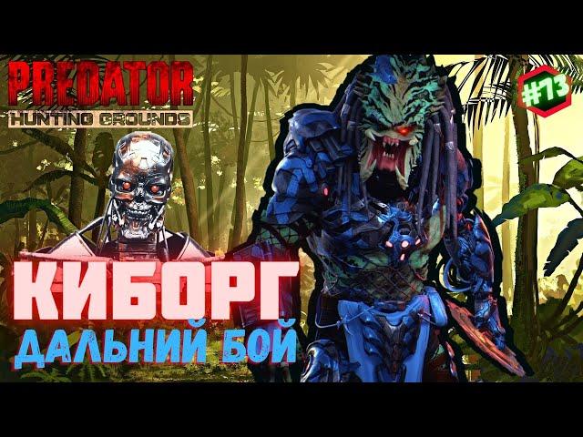 Predator Hunting Grounds  КИБОРГ дальний бой  ОХОТА #73 #predator