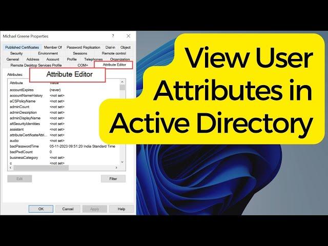 View User Attributes in Active Directory