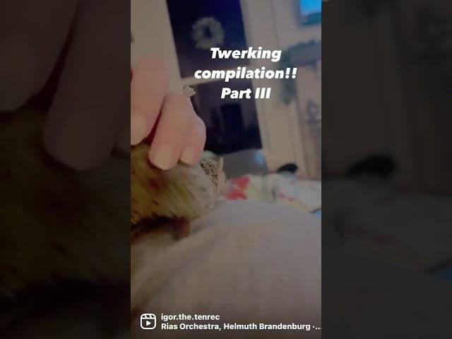 Twerking compilation part 3!