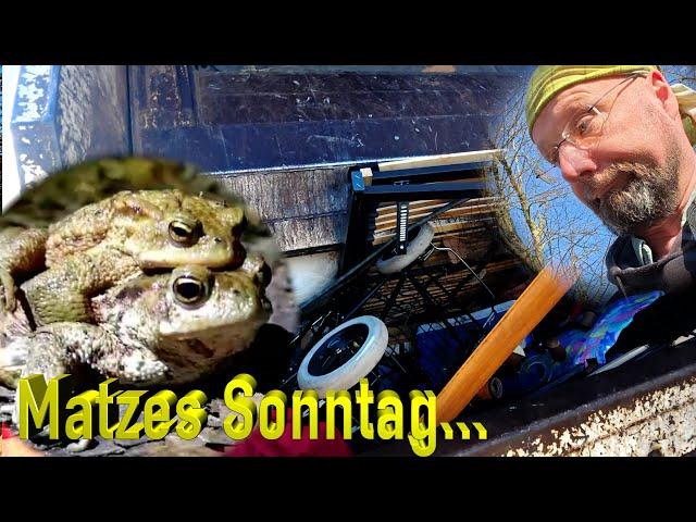 Matzes Sonntag... - Kröten, Krieg und krude Thesen