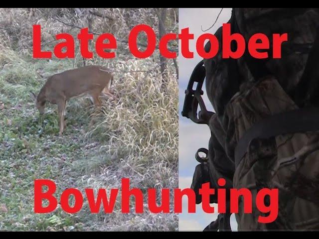 2014 PreRut Deer Bow Hunting - October Bowhunting - Hoyt doe buck