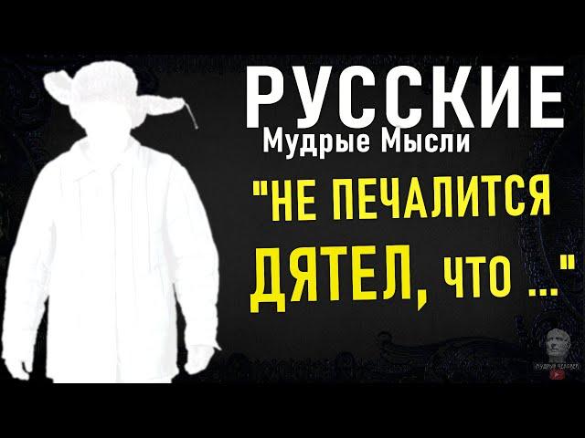 Старые Русские пословицы и поговорки, Которых Многие не Помнят полностью