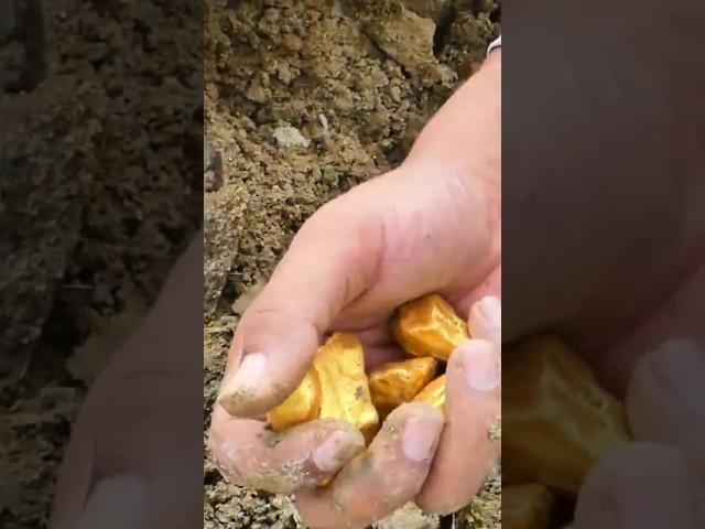 #gold #finding #Goldtreasure #digger