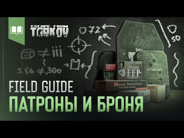 Field Guide #3: Патроны и Броня