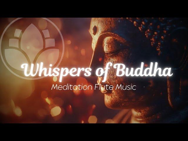 Silent Echo 》Buddha's Flute Meditation Music 》Healing Flute Music