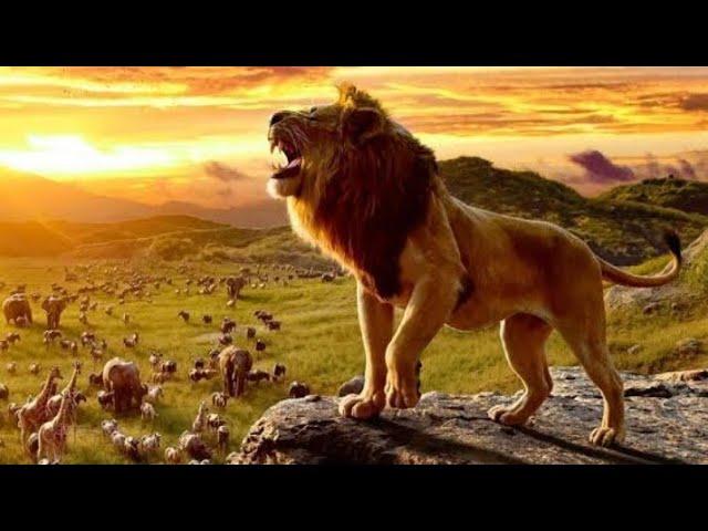 The Lion King 2019 trailer