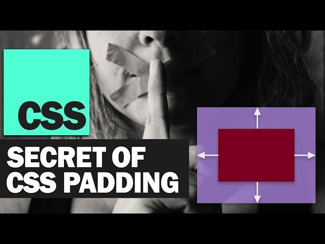 The Secret CSS Padding Trick!