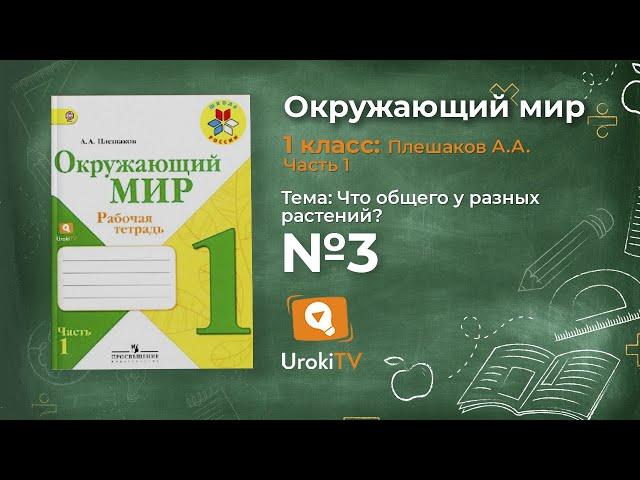 Задание 3 Что общего у разных растений? - Окружающий мир 1 класс (Плешаков А.А.) 1 часть