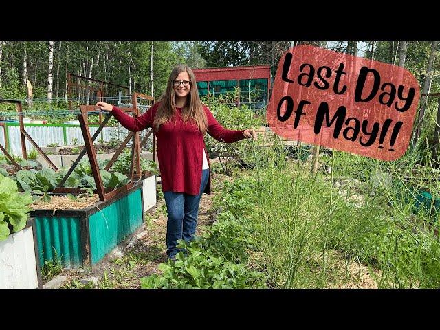 Canadian Garden Tour (Zone 3 Gardening)