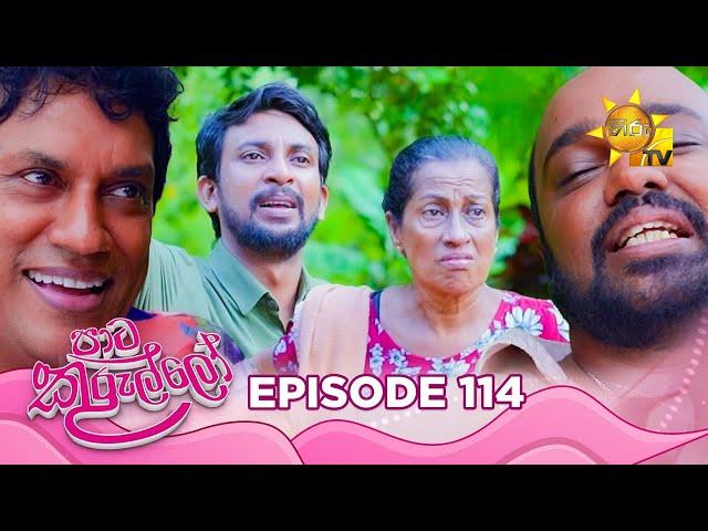 Paata Kurullo - පාට කුරුල්ලෝ | Episode 114 | 2024-10-16 | Hiru TV