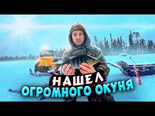 НАШЕЛ ОГРОМНОГО ОКУНЯ!ОСТАВИЛ САМОЛОВКИ НА 5 ДНЕЙ И ВОТ РЕЗУЛЬТАТ! НОЧЁВКА.