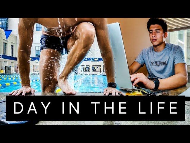 Day in the life of a College Athlete | Cal Swimming