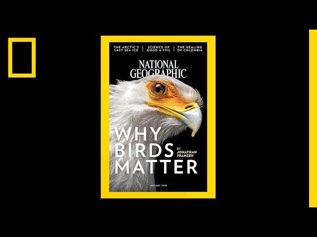 See 130 Years of National Geographic Covers in Under 2 Minutes | National Geographic