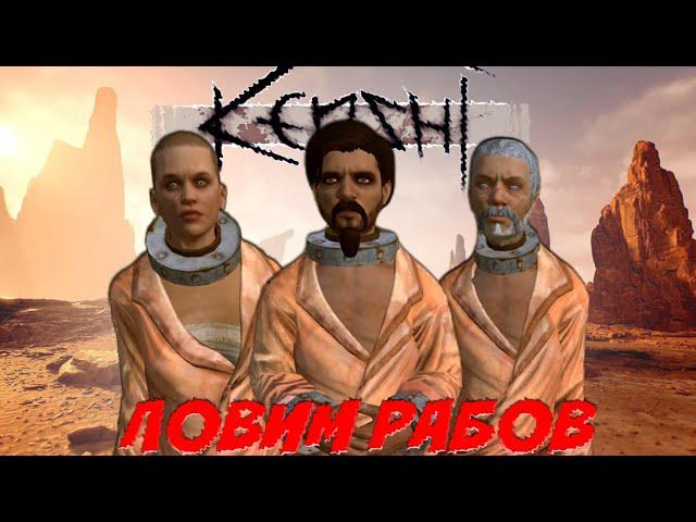 ЛОВИМ РАБОВ в Kenshi