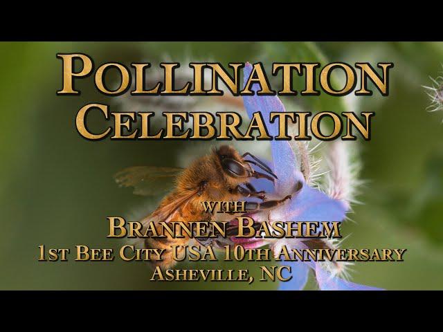 Pollination Celebration, Bee City USA 10th Anniversary with Brannen Bashem