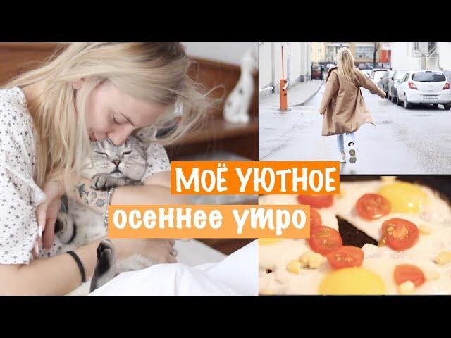 Мое Уютное Осеннее Утро / My Morning Routine