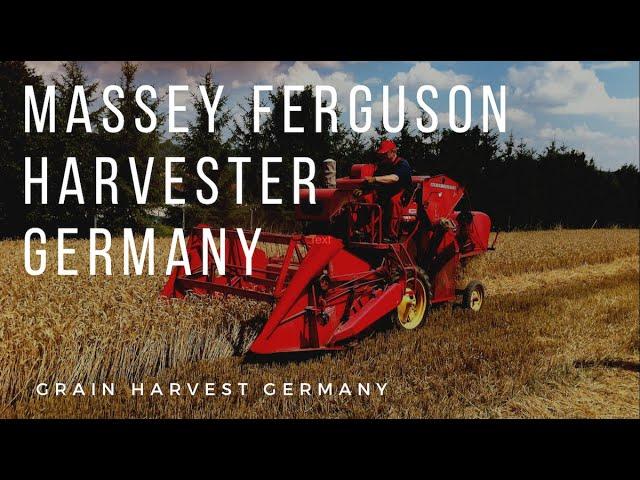 Massey Ferguson Harvester MF30 at work. Grain harvest with VW Engine 6V 29 HP