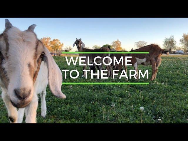 The Farm on Route 66