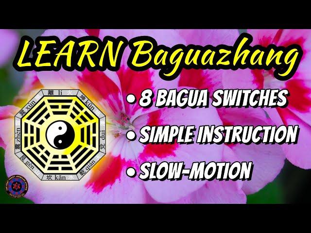 Baguazhang for Beginners: 8 Bagua Switches with simple step-by-step instruction | Pakua Chang