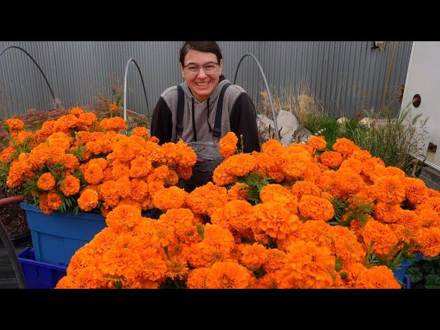 The Last Week of Flowers | October Farm Tour