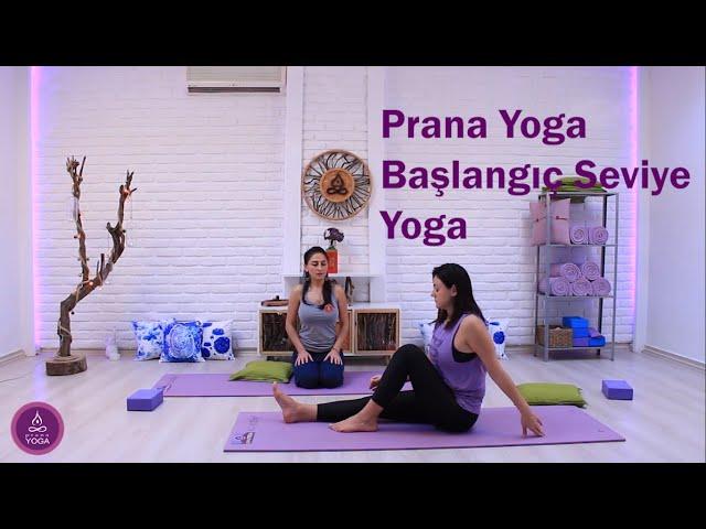 Prana Yoga Başlangıç Seviye Yoga Dersi