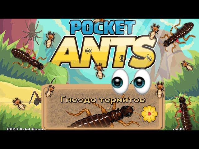 Pocket Ants l Всего 2 игрока | Гнездо термита