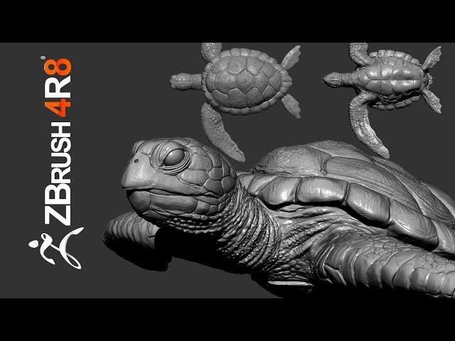 Sculpting a Carey Turtle From Scratch in ZBrush 4R8 - Part 01