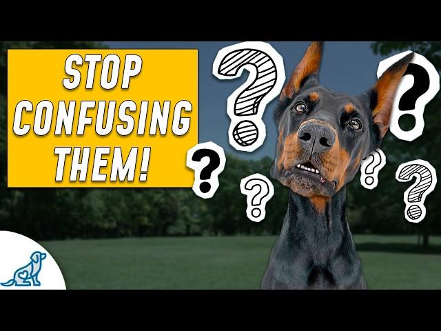 Dog Training Advice You Didn't Know You Needed...