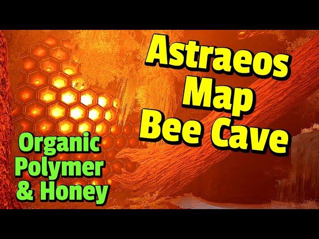 Exploring Bee Cave for Honey & Organic Polymer on the Astraeos Map  - Ark Survival Ascended