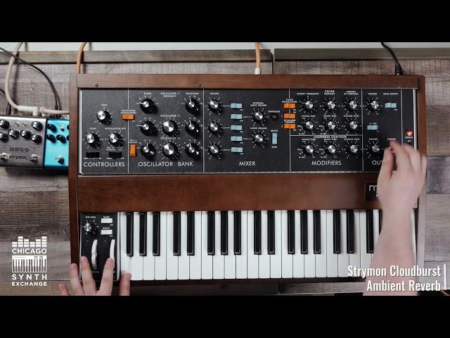 Moog Minimoog Model D // Just Sounds