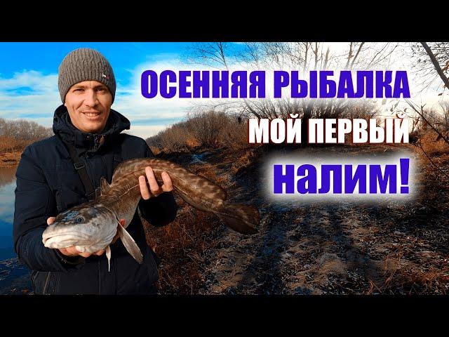 Осенняя рыбалка, поймал своего первого налима!!! #Рыбалка #налим  #спиннинг