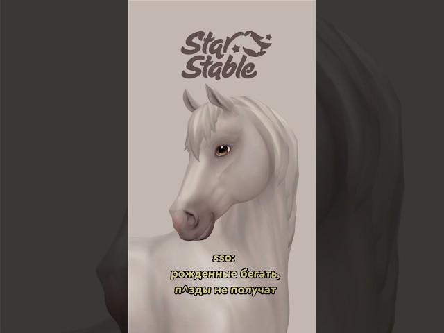 star stable и его баги 