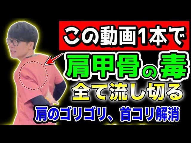 【6分で肩甲骨を完全攻略】ガチガチ肩甲骨がふにゃふにゃになる！老廃物排出、リンパ流しで肩のゴリゴリ解消、首コリ解消、肩こり解消できるエクササイズ！