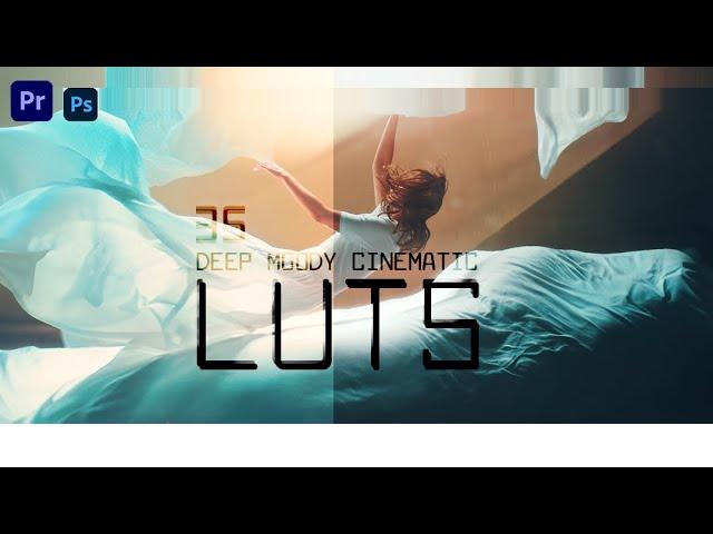 35 FREE LUTs to transform your videos in 2025 – Don't miss out! / 2025년 당신의 영상에 변화를 가져올 35 Free LUTs