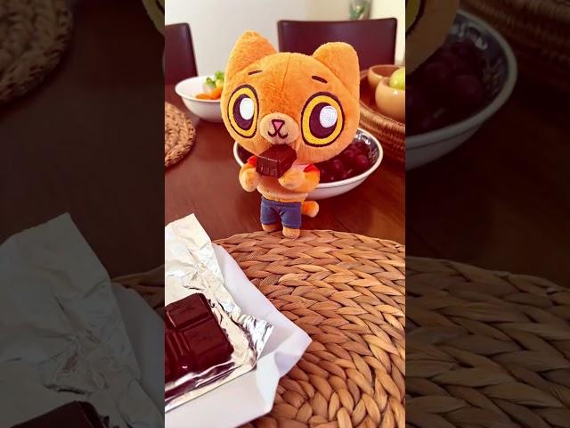Simba visits a chocolate factory! ️ #simbochka #chocolatefactory #simba
