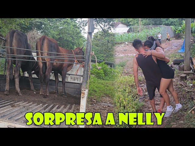 David le lleva una sorpresa a Nelly y así reacciono.