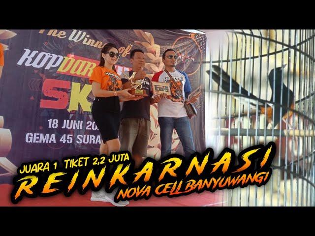 MB.REINKARNASI-NOVA CELL BANYUWANGI || KOPDAR SKN XIV