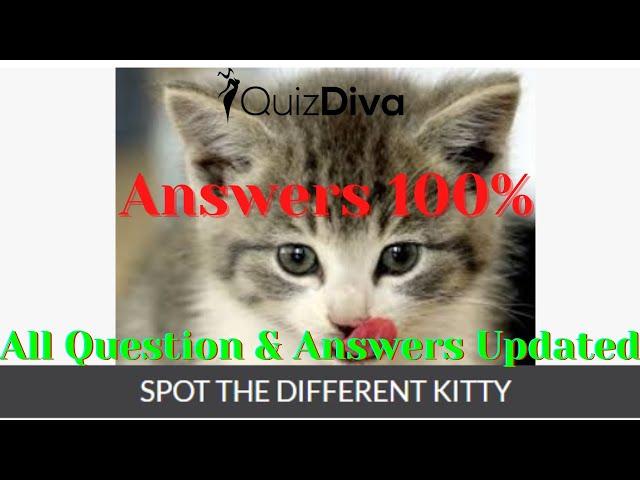 Spot the Different Kitty Quiz Answers 100 % | Quiz Diva | quizhelping.in