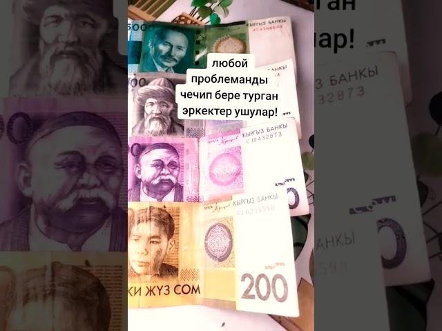 Любой проблеманы чечкен Эркектер